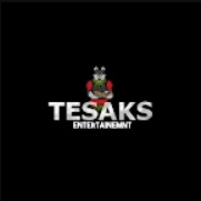 Tesaks Entertainment s.r.o.