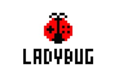 Team Ladybug